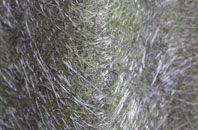 Primrose Corner fibreglass roof work